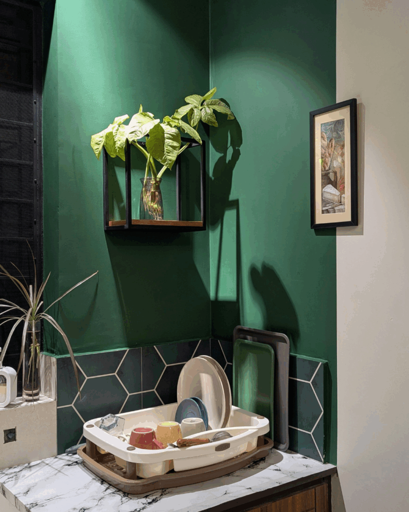 A corner focal point in a room with hunter green walls with a plant on the wall and a hexagon bag splash.